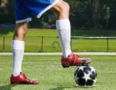 莱因克尔,阿诺德加盟,皇马,新葡京,新葡京app,新葡京娱乐,新普京赌场